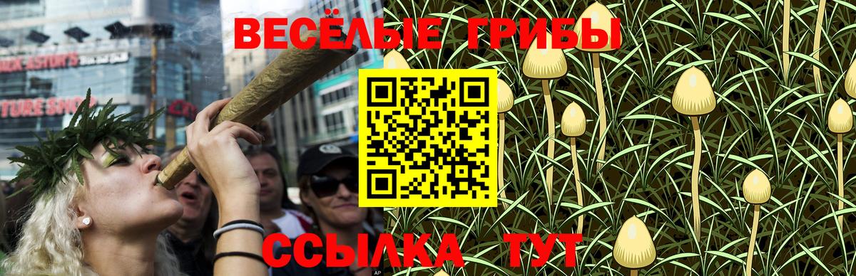 Псилоцибиновые грибы Psilocybe Северск