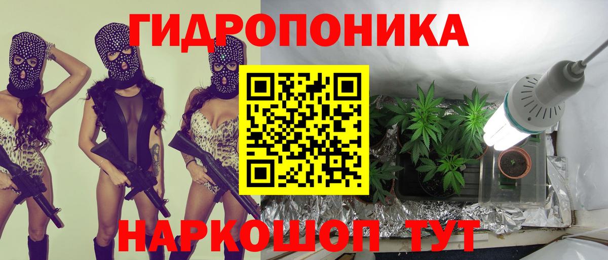 Бошки Шишки VHQ  Вход с VPN  Шишки марихуана Amnesia  Каннабис Amnesia  Северск 